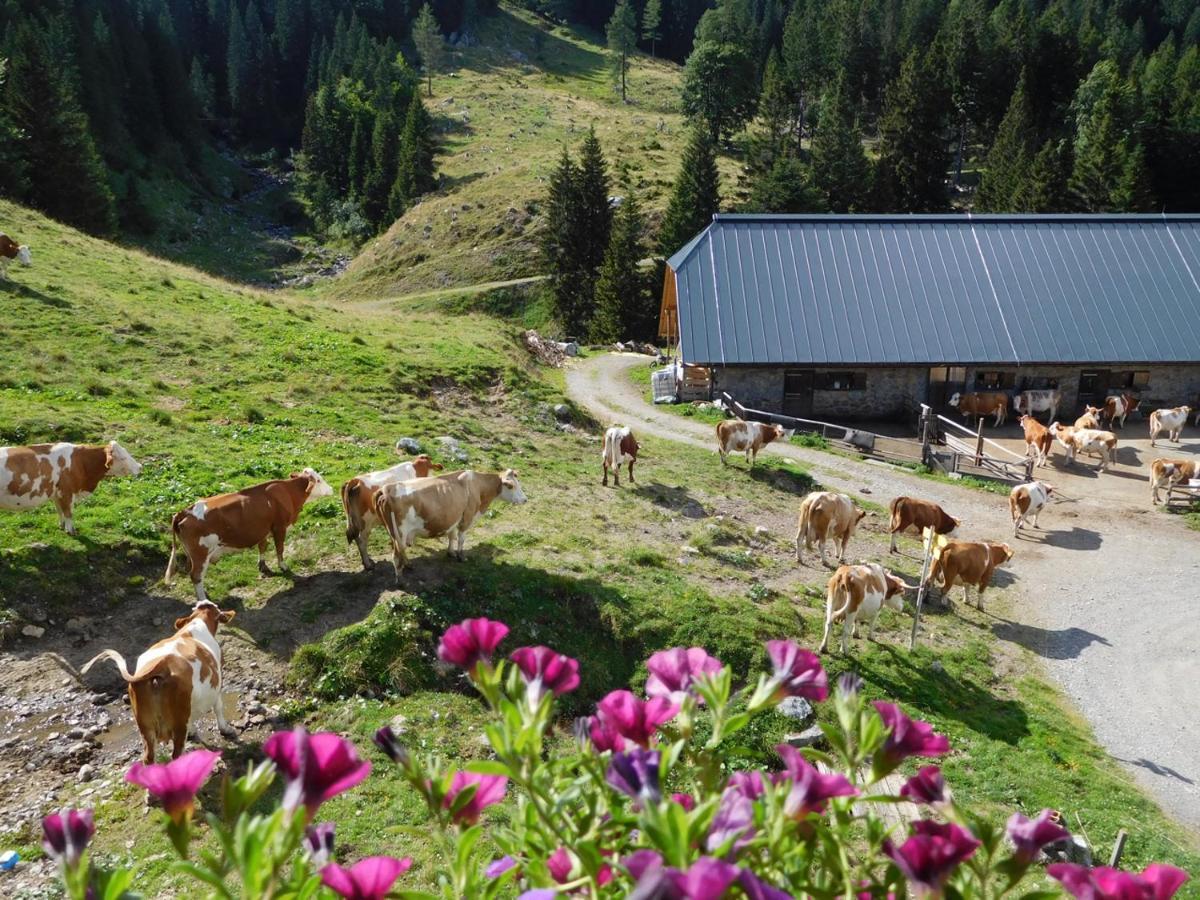 Straniger Alm