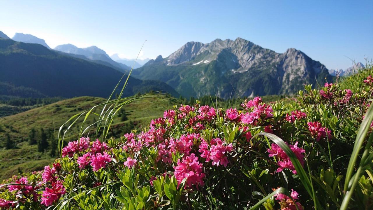 Straniger Alm Stranig